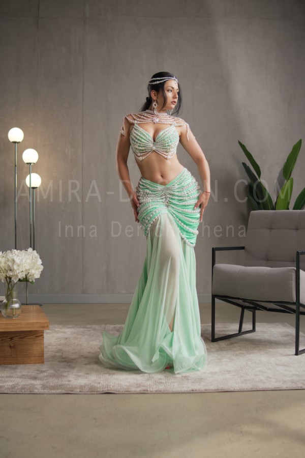 Professional bellydance costume (Classic 354A_1)
